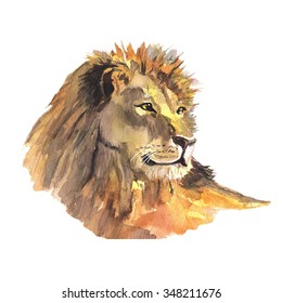 Beautiful Watercolor Lion