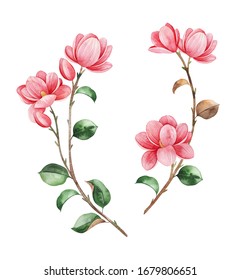 2,247 Magnolia flower logo Images, Stock Photos & Vectors | Shutterstock