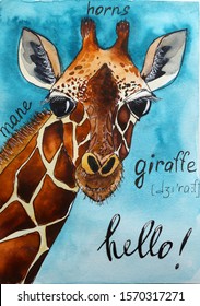 Beautiful Watercolor Picture Of A Giraffe With Written English Words: Giraffe, Mane, Horns As A Visual Material For Quick And Interesting Learning Of English For Both Children And Adults