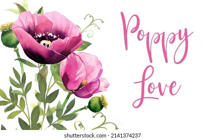 Beautiful watercolor poppies bouquet isolated on a white background. Wedding invitation template. Garden themed card. Field flowers banner.