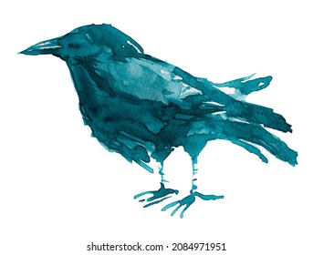 Beautiful watercolor raven illustration isolated on a white background. Hand painted crow design. Bird painting. Wild bird artwork.