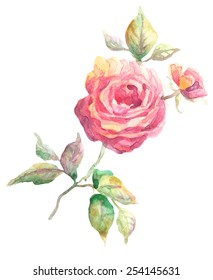 Rose Watercolor Floral Card Birthday Card Stock Illustration 296688920 ...