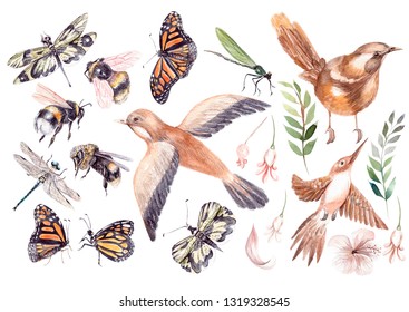 Beautiful Watercolor Set With Birds, Buterfly, Bee And Dragonfly.  Illustration