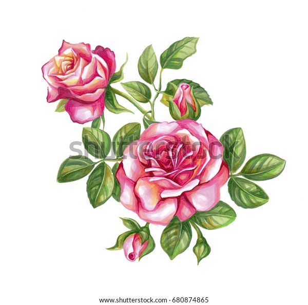 デザイン用のつぼみを持つバラの美しい水彩のビンテージ枝 のイラスト素材