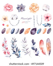 Beautiful winter collection and branches cotton plants flowers strings pearls colorful leaves Winter floral collection and 29 watercolor elements Set floral elements Moonlight collection 