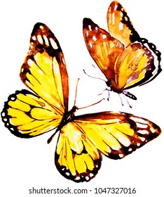 127,325 Butterfly watercolor Images, Stock Photos & Vectors | Shutterstock