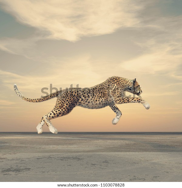 cheetah 3d plugin