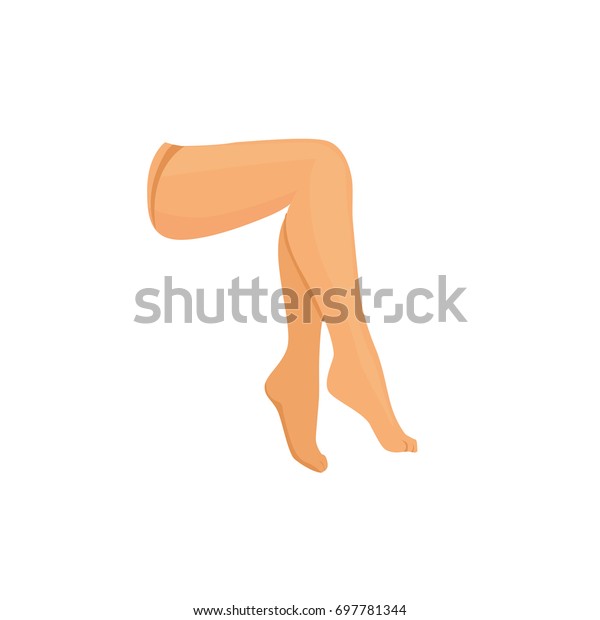 Beauty Legs Isolated Illustration Stock Illustration 697781344 ...