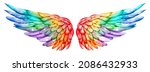 Beauutiful magic bright rainbow wings, symbol of freedom, lgbt, raster illustration