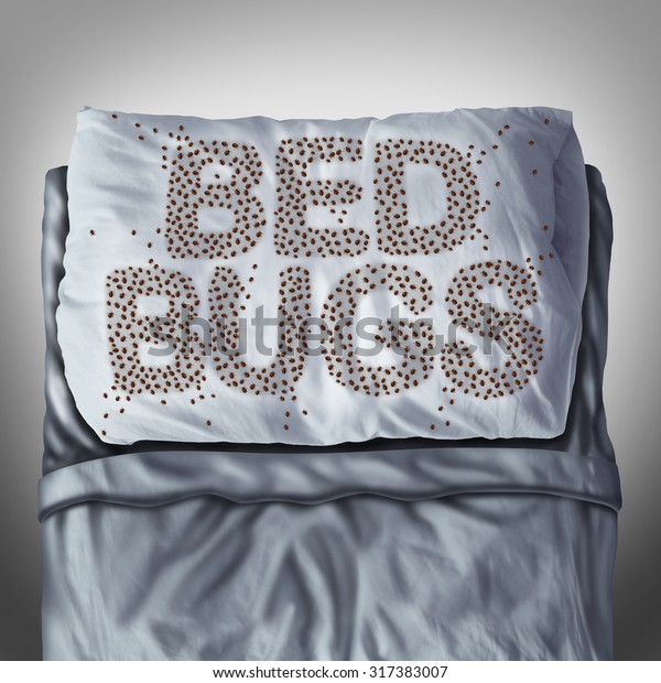 Bed Bug On Pillow Bed Bedbug Stock Illustration 317383007