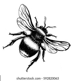 Bee Drawing