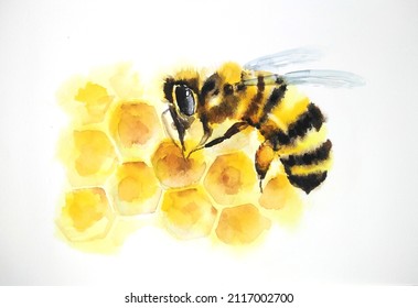 Bee on honeycomb watercolor illustration.