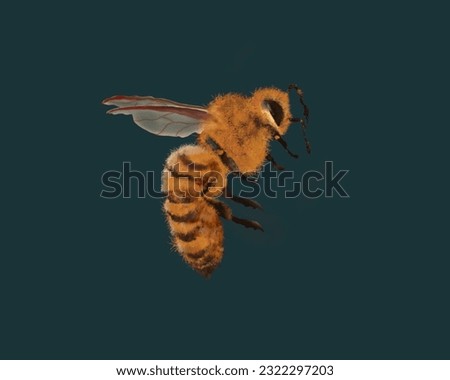 Bee on the right .