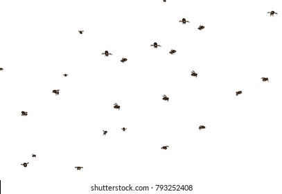 Bee Swarm 3D Rendering