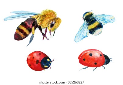 Bee, Wasp, Bumblebee, Ladybug, Insect, Watercolor,