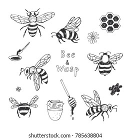 Bee And Wasp Cartoon Doodle Illustrations Set