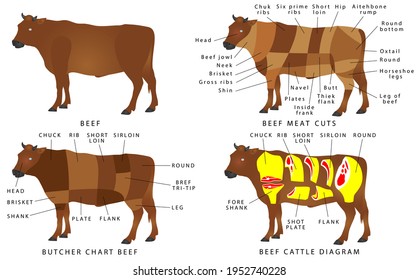 2,804 British Beef Cuts Images, Stock Photos & Vectors 