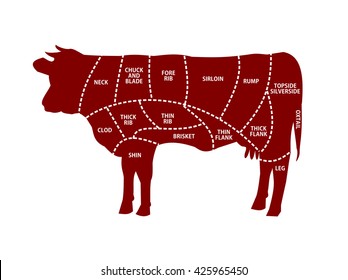 Beef Cuts Illustration 