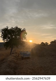 Before the sun goes down 🥰🥰