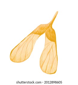 Beige Autumn Maple Seed Helicopter. Colored, Textured Leaf For Design Use. Illustration On A White Background, Hand-drawn Digital Graphics