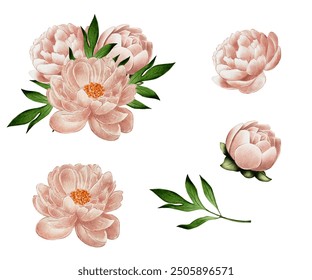 Beige, pink peonies, watercolor illustration on white background for flower shops, bouquets, home fragrances, perfume, cosmetics wedding. Delicate flowers for wedding decoration, holidays, birthdays  - Powered by Shutterstock