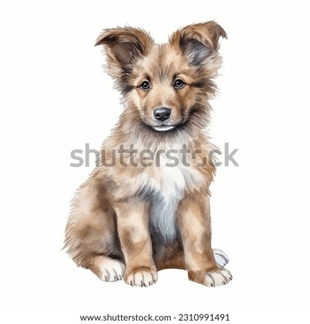 Belgian Teruven Dog watercolor portrait painting illustrated dog puppy isolated on transparent white background