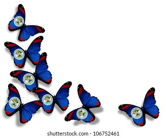Belize flag butterflies, isolated on white background