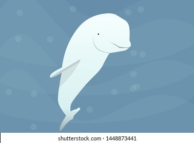 beluga under water life swimming