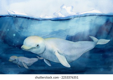 Beluga whale (Delphinapterus leucas) the background an iceberg drifting in the ocean  Watercolor illustration  A wild beluga whale swims in the water and cub  Arctic landscape 