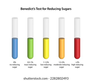 Benedict's Test for Reducing Sugars