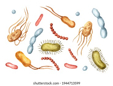 Beneficial prebiotic bacteria set. Watercolor hand drawn illustration, isolated on white background