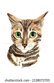 2,605 Bengal cat watercolor Images, Stock Photos & Vectors | Shutterstock