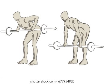 Bent Over Row