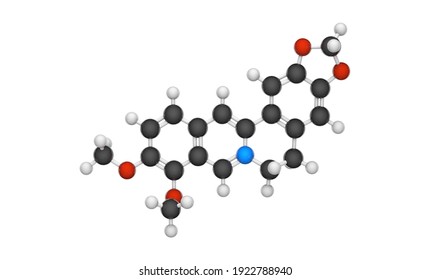 Berberine is a quaternary ammonium salt of an isoquinoline alkaloid and found in such plants as Berberis. Formula: C20H18NO4+. Chemical structure model: Ball and Stick. 3D illustration.