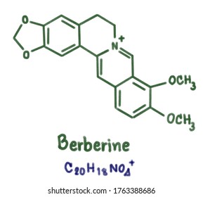 Berberine is a quaternary ammonium salt from the protoberberine group of benzylisoquinoline alkaloids found in such plants as Berberis