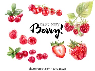 Berries watercolor set illustration isolated on white background. Strawberry, lingonberry, redcurrant, raspberry, cranberry.