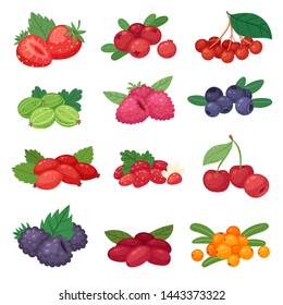 Watercolor Illustration Set Raspberries Raspberries On Stock 