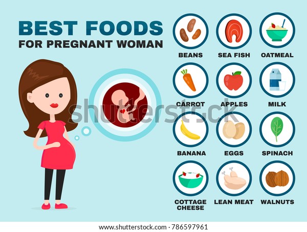 Best Food Pregnancy Infographic Pregnant Woman Stock Illustration 786597961