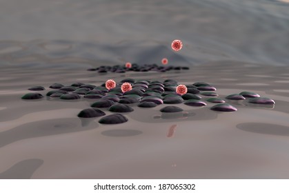 Beta Cells On The Pancreas Surface, Coronavirus Atack The Lungs Cell, Lymphocyte,  Autoimmune Disease, Macrophage, Macrophage Attack Of The Beta Cells