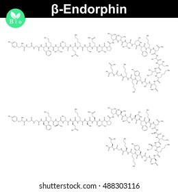 Beta endorphin molecular formula, endogenous morphine compound, 2d chemical sign, isolated on white background, raster