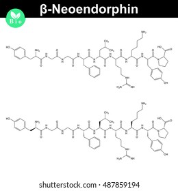 Beta neoendorphin molecular structure, endogenous morphine compound, 2d chemical vector illustration, isolated on white background, eps 8