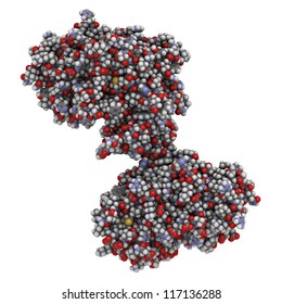 Beta secretase 1Alzheimer's disease protein (BACE1, beta-site APP cleaving enzyme 1, aspartyl protease 2, memapsin 2).