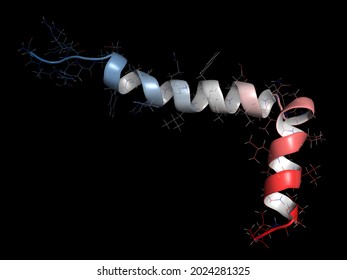 Beta-amyloid (Abeta) peptide, 3D rendering  Major component of plaques found in Alzheimer's disease  Cartoon representation 