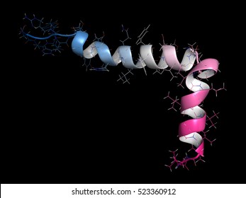 Beta-amyloid (Abeta) peptide, 3D rendering. Major component of plaques found in Alzheimer's disease. Combined cartoon and stick representation, backbone gradient coloring.