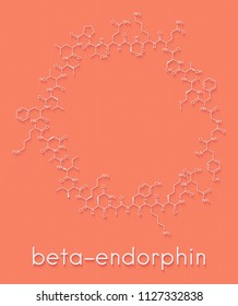 Beta-endorphin endogenous opioid peptide molecule. Skeletal formula.