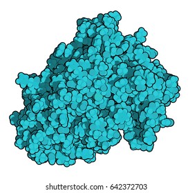 Beta-secretase 1 (BACE1, aspartyl protease domain). BACE inhibitors are investigated as a therapy for Alzheimer's disease. 3D rendering based on protein data bank entry 3r2f. 
