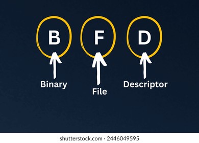 BFD Acronym, Binary File Descriptor