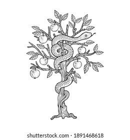 Biblical Serpent Snake On Apple Tree Sketch Engraving Raster Illustration. T-shirt Apparel Print Design. Scratch Board Imitation. Black And White Hand Drawn Image.