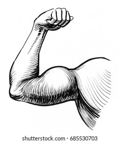 Featured image of post Bicep Drawing See more ideas about drawing tutorial drawings drawing techniques