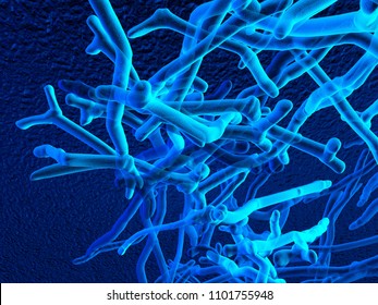 Bifidobacteria, Beneficial Bacteria, Microorganisms, Molecules, 3d Illustration